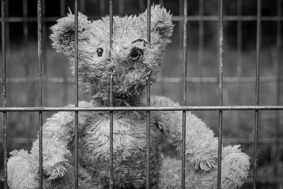 gray, bear, plush, toy, cage, teddy, lost, childhood, lonely, loneliness