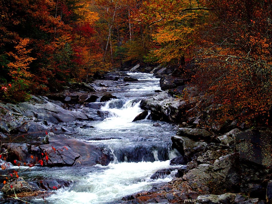 fotografía de ángulo bajo, 3 niveles, 3 niveles de agua, caídas, escénicas, montañas humeantes, Tennessee, Estados Unidos, nacional, parque