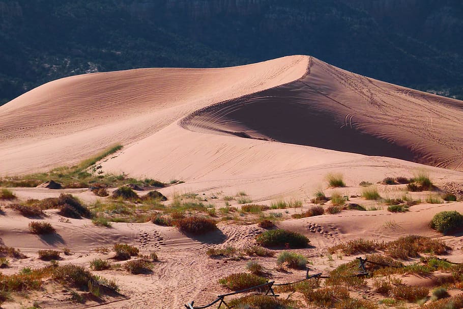 fotografi stok, gurun, bukit pasir merah muda, utah, amerika serikat, alam, panas, kering, lanskap, pemandangan