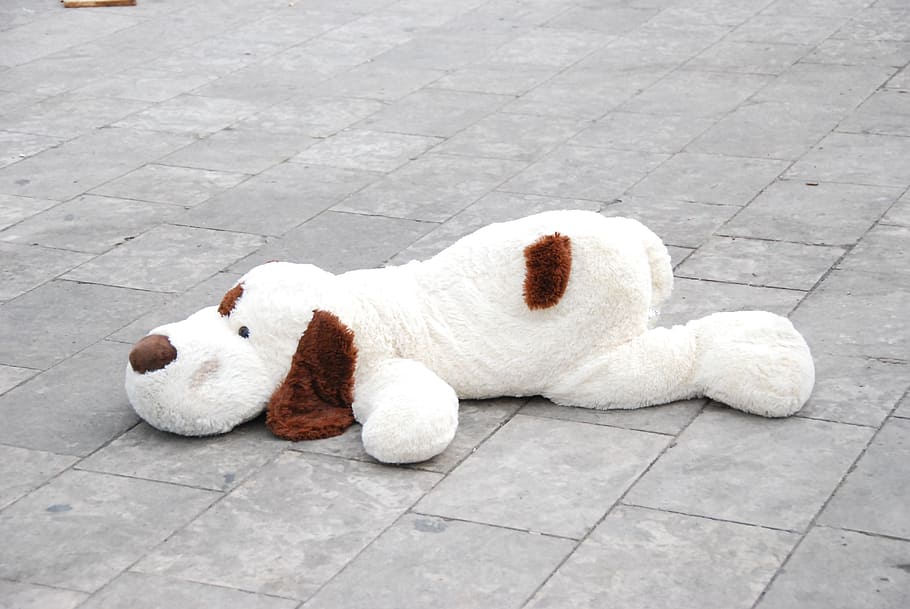 white, brown, toy, pavement floor, Plush, Dog, Street, Give Up, City, lying down