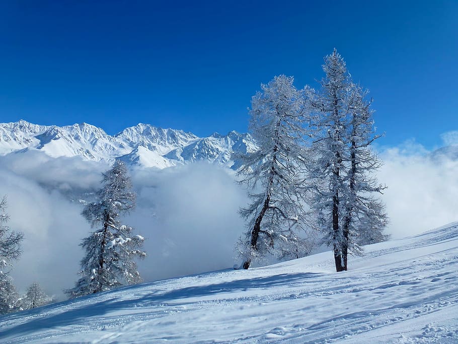 写真, 雪崩, 木, 雪, 山, 冬, 寒さ, 風光明媚な-自然, 青, 自然の美しさ