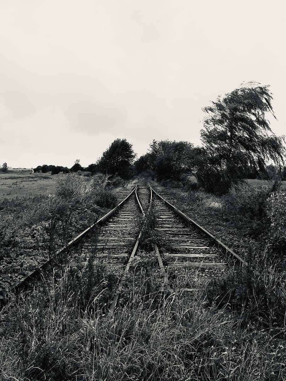 rails, end, railway, dead end, track, old, decay, route, way, railroad tracks