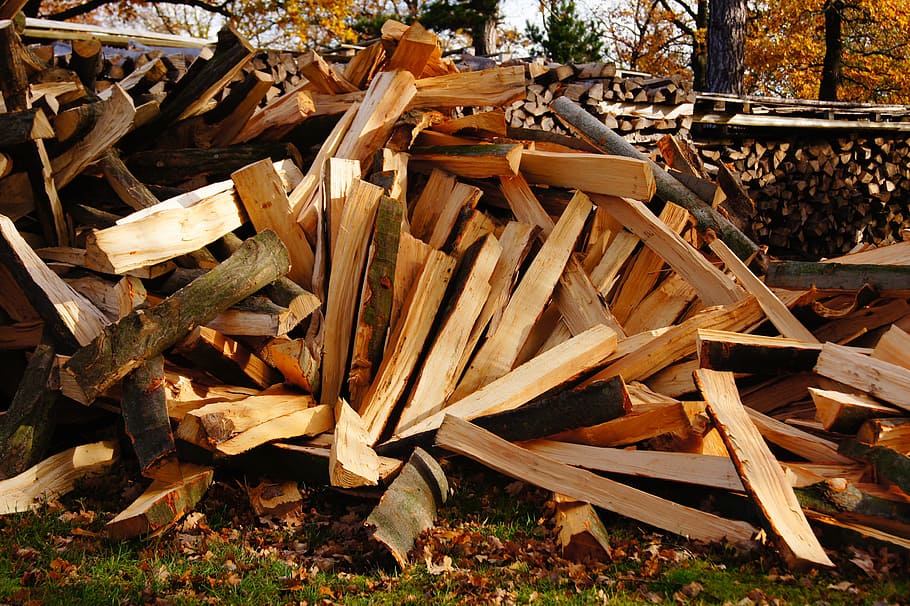 Madera, troncos, madera laminada, árbol, troncos de madera, otoño, madera - Material, bosque, tronco, leña