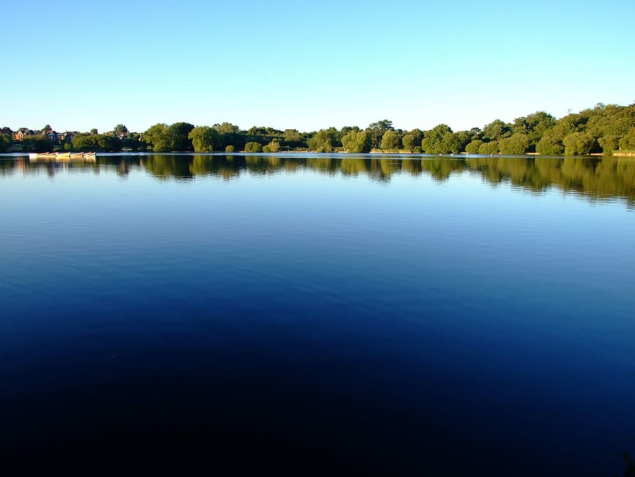 agua, mostrando, reflexão, floresta, Inglaterra, Hampshire, Petersfield, Petersfield Heath, lago, lagoa