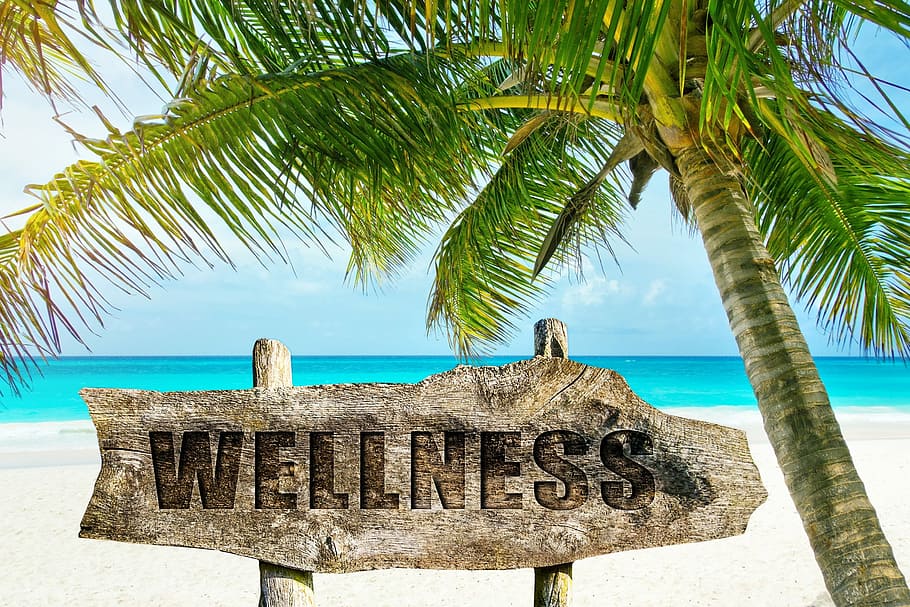 wellness signage, palm tree, wellness, palm, beach, sand, island, tropical, idyllic, ocean