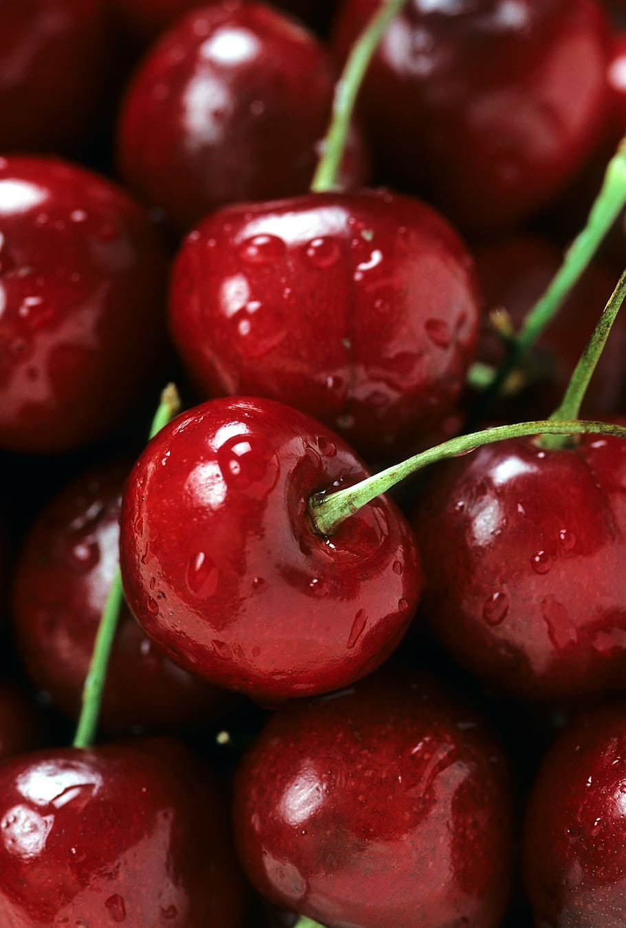 red, cherry, fruit lot, bing cherries, ripe, fruit, stem, berry, fresh, harvested