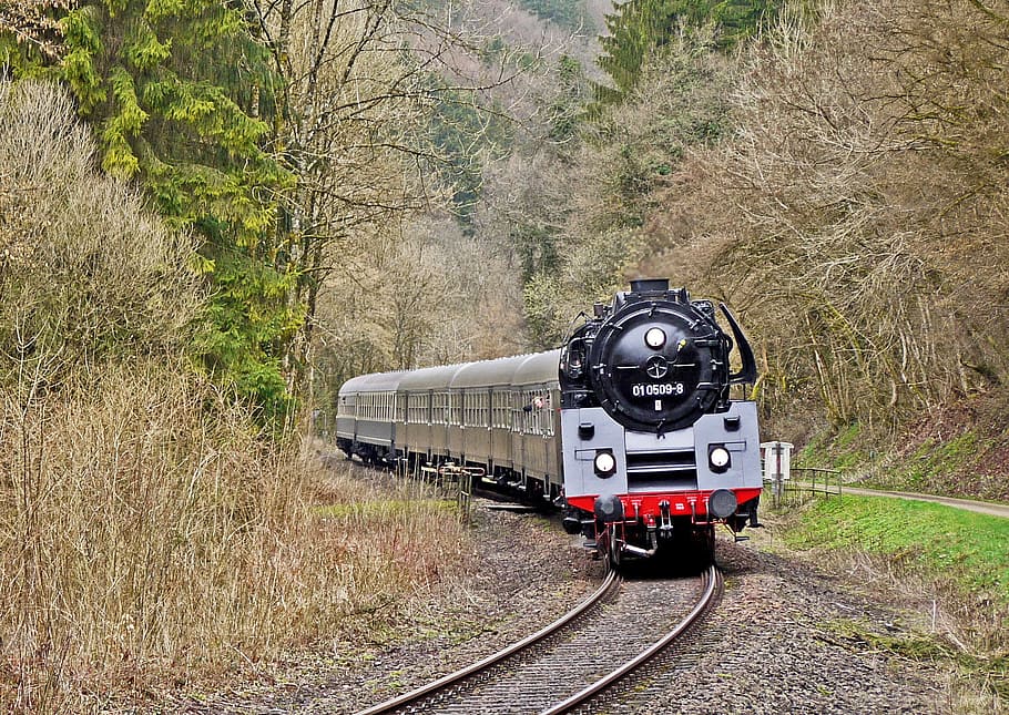 gris, tren, árbol, durante el día, locomotora a vapor, tren especial, eifel, kytal, curvilíneo, de vía única