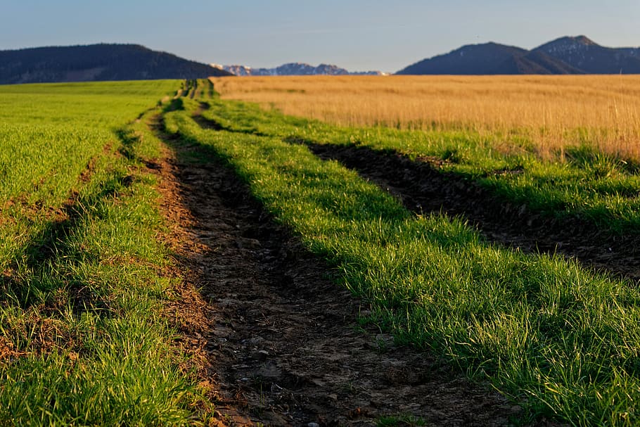 path, field, mountains, meadow, country, nature, the sky, grass, dry grass, liptov