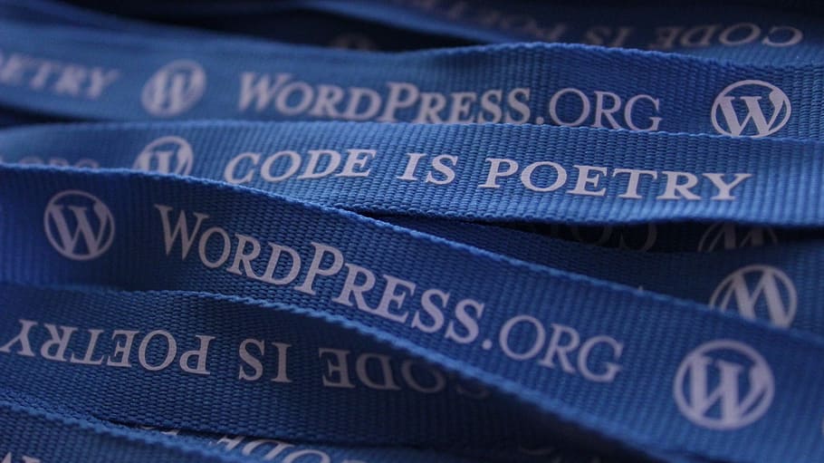 wordpress.org lanyard, wordpress, lanyard, blog, blogging, biru, logo, kode, kode sumber, bisnis