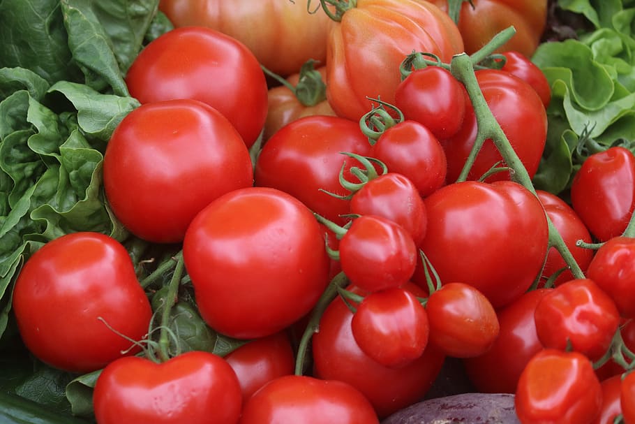 tomatoes, healthy, vegetables, food, vegetarian, salad, ingredients, ketchup, eat, vegan