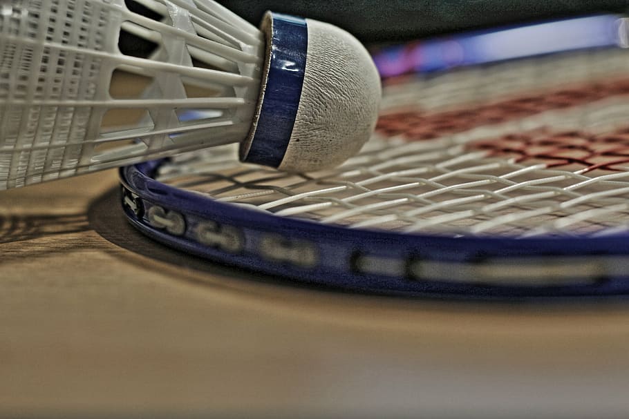 blue, wilson badminton racket, badminton, bat, sport, leisure, ball, recreational sports, concerns, still