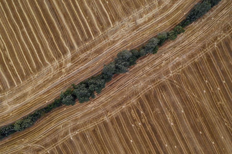 geometric, pattern, agriculture, farm, field, parcel, europe, poland, harvest, natural