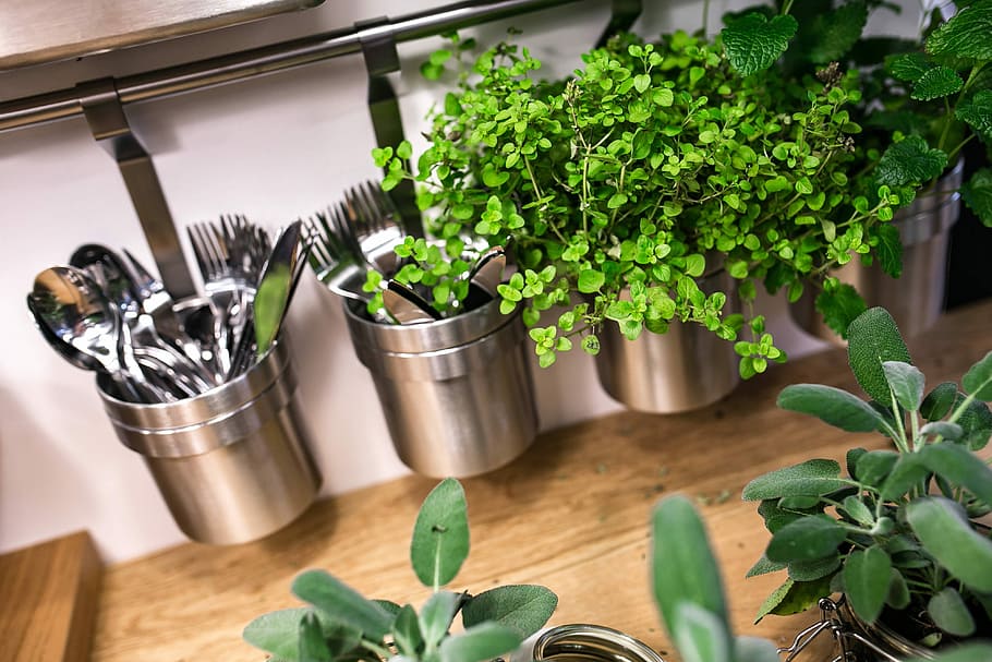 緑, 植物, ガラスの瓶, テーブル, 緑の植物, ポット, 瓶, 屋内で, 野菜, 食べ物