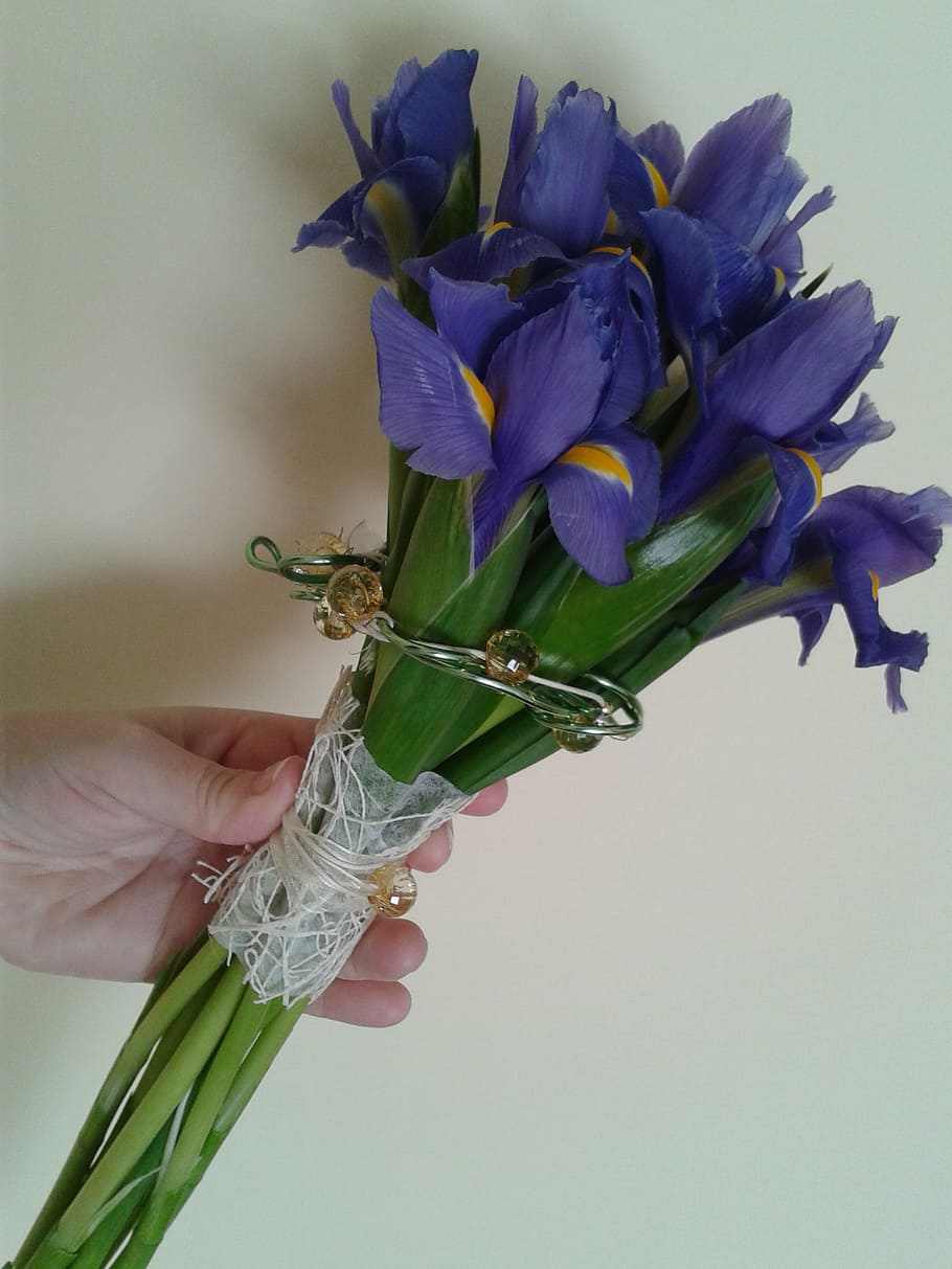 bouquet, wedding, blue, cut flowers, purple, flower, human hand, flowering plant, hand, plant