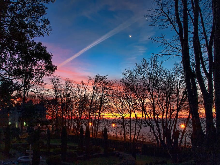 Sunrise, Morning Star, Moon, Horizon, cloud, light, nature, sky, morning, tree