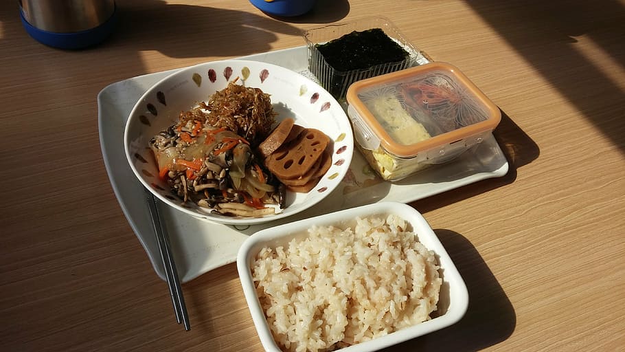 cooked, rice, dish, plates, lunch box, bob, laver, burdock, side dish, dining