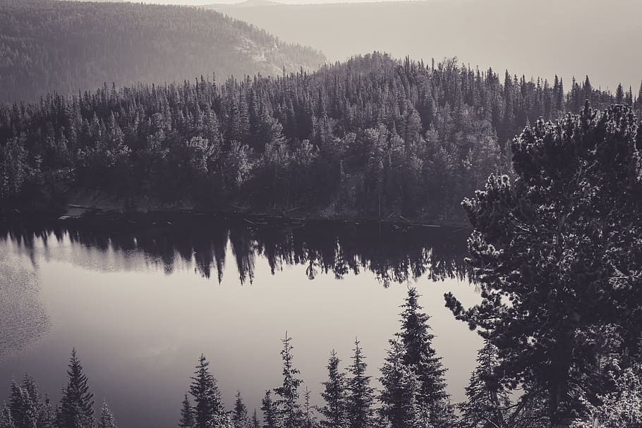 black and white, grey, forest, trees, nature, outdoors, lake, water, hills, mountains