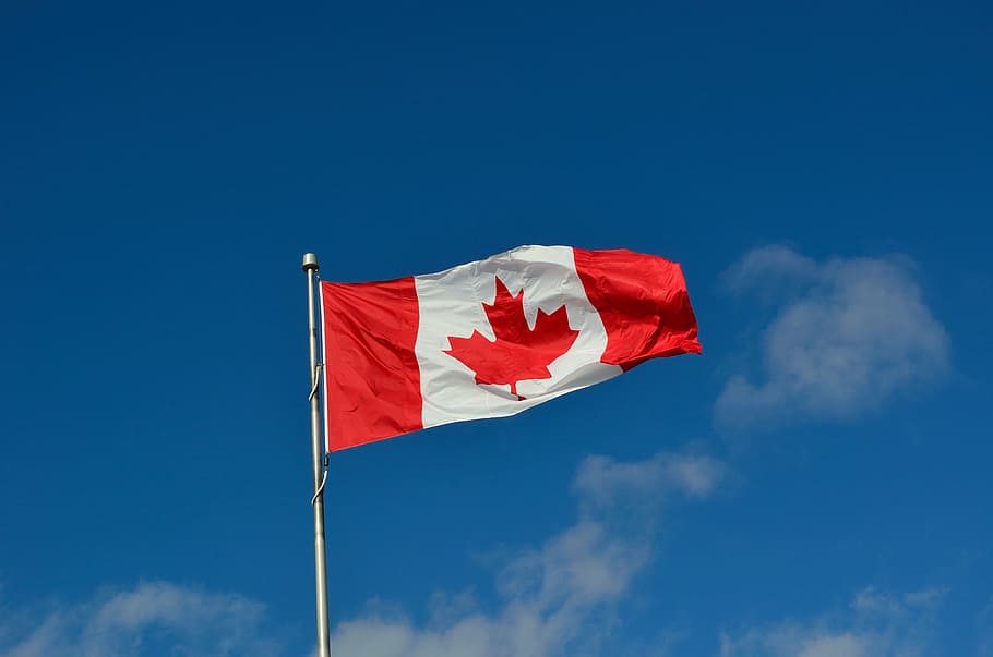 canada flag, blue, sky, daytime, canadian flag, canada, maple, country, immigration, refugees