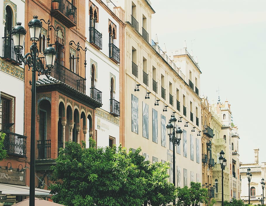 postes de iluminação, árvores, edifícios, branco, bege, concreto, Sevilha, Espanha, arquitetura, urbano