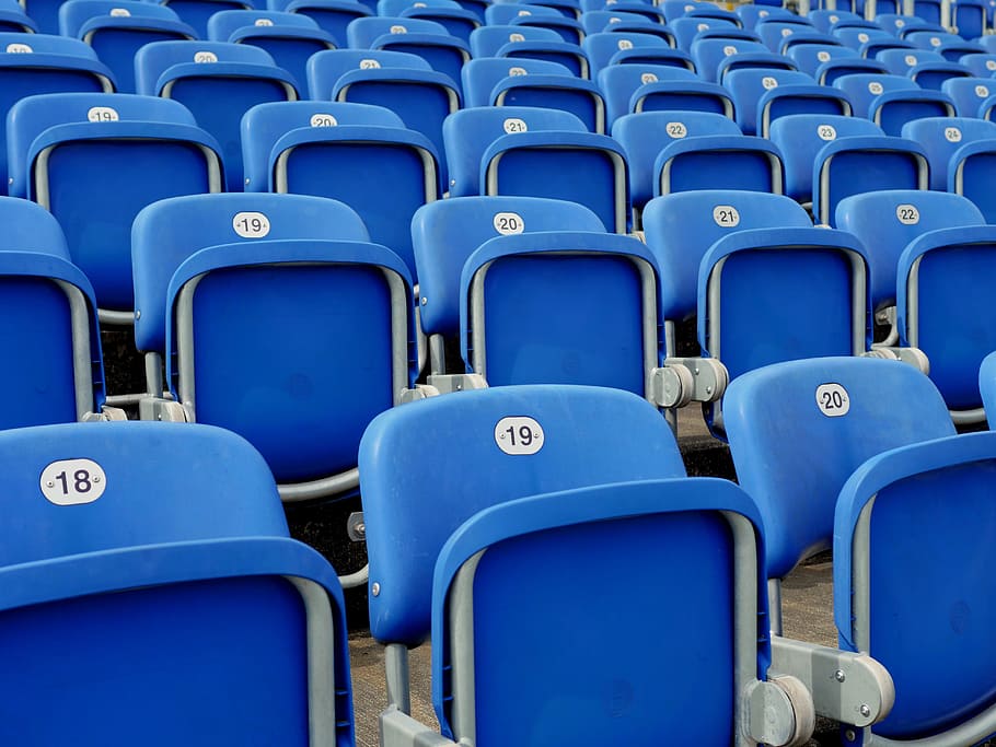 selectivo, foto ficus, azul, asiento de estadio de plástico, filas de asientos, asientos, sentarse, tribuna, auditorio, evento