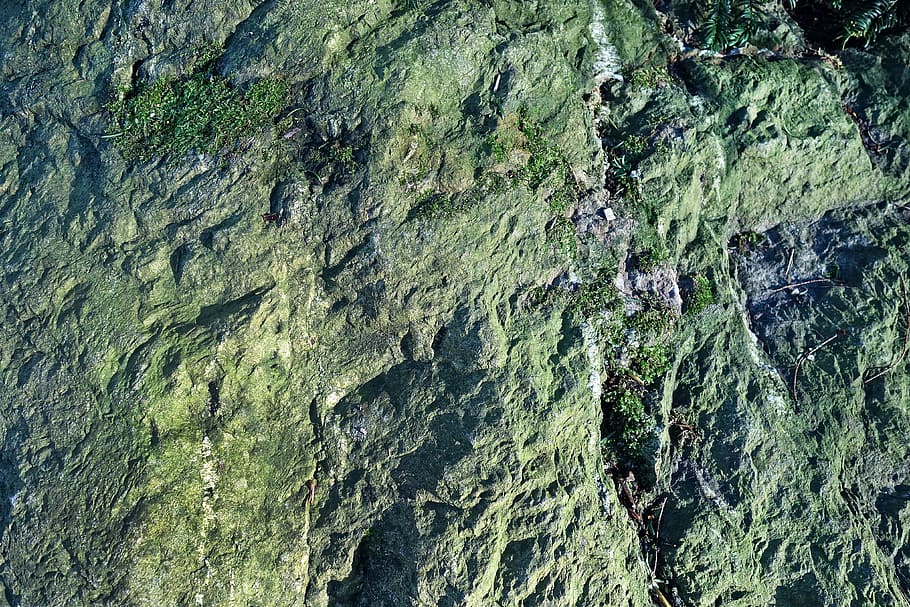 rock, stone, rock surface, rough, lichen, rock texture, rock backdrop, rock background, backgrounds, textured