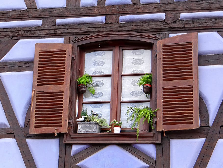 ventana, persianas, braguero, maceta, marrón, blanco, casco antiguo, históricamente, hogar, fachwerkhaus