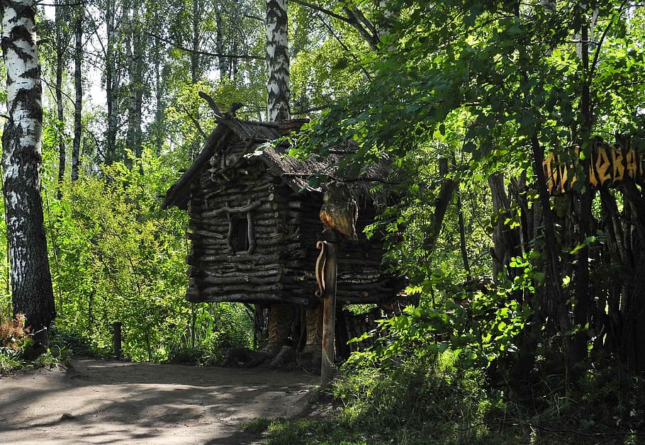 wooden, house, surrounded, green, bushes, tall, trees, daytime, russia, story