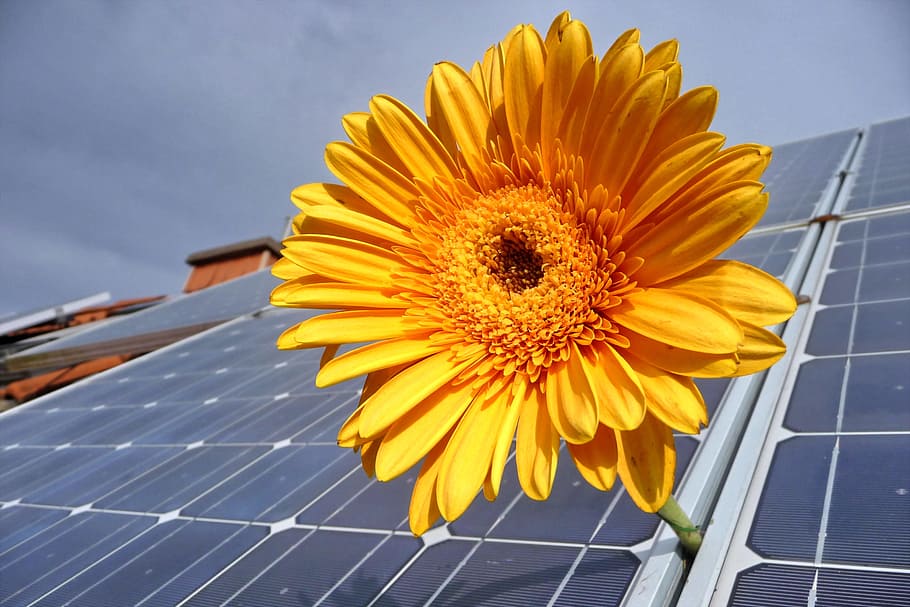 ソーラー, 太陽光発電, 再生可能エネルギー, 太陽エネルギー, 太陽電池, 発電, エネルギー生成, 環境に優しい, 電気, 太陽光発電システム