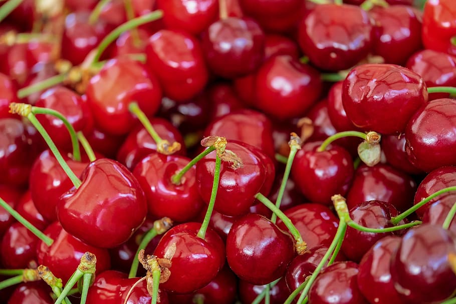 closeup, cherries, sweet cherries, fruit, red, fruits, sweet, delicious, healthy, summer fruit