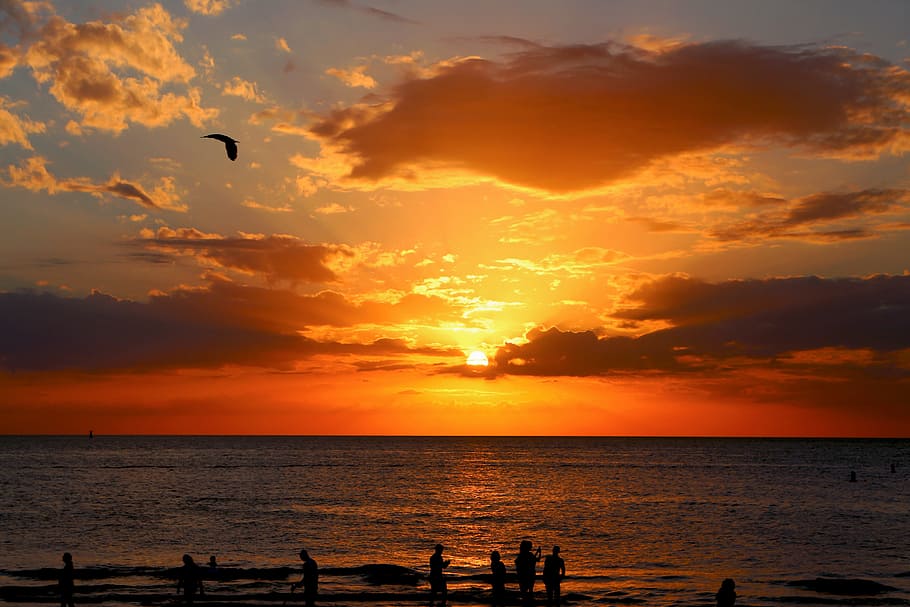 silueta, gente, costa, puesta de sol, mar, velero, paisaje, horizonte, playa de aguas claras, Florida