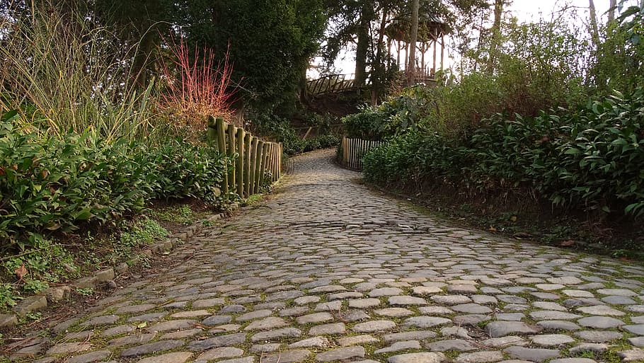 path, pavement, pierre, road pavers, bush, hedge, park, tree, plants, road old