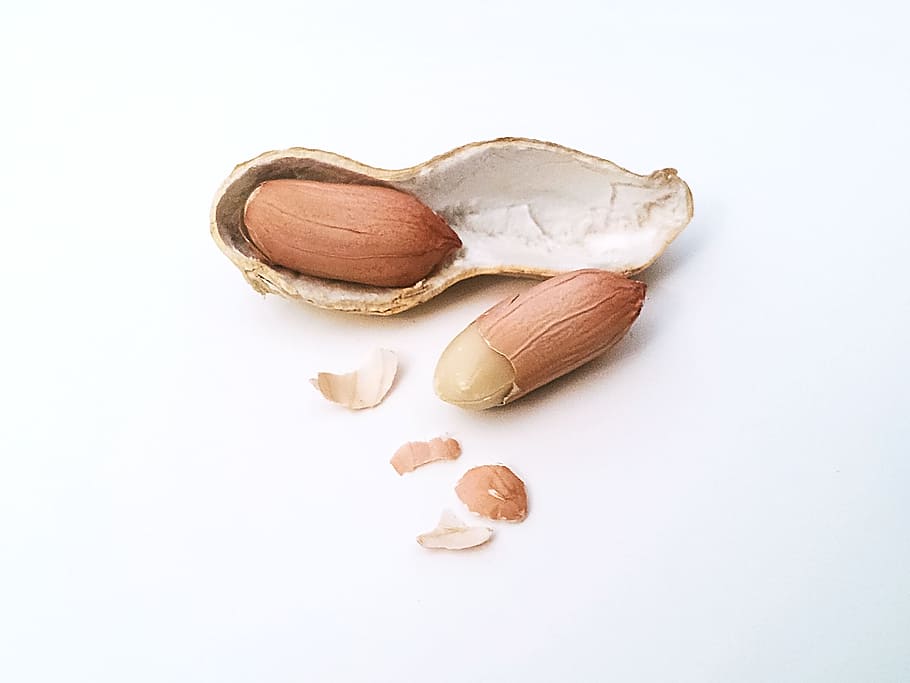 peanuts with shell, Peanut, Nut, Nuts, Shell, peanut shell, nutshell, nutmeat, nuclear, white background