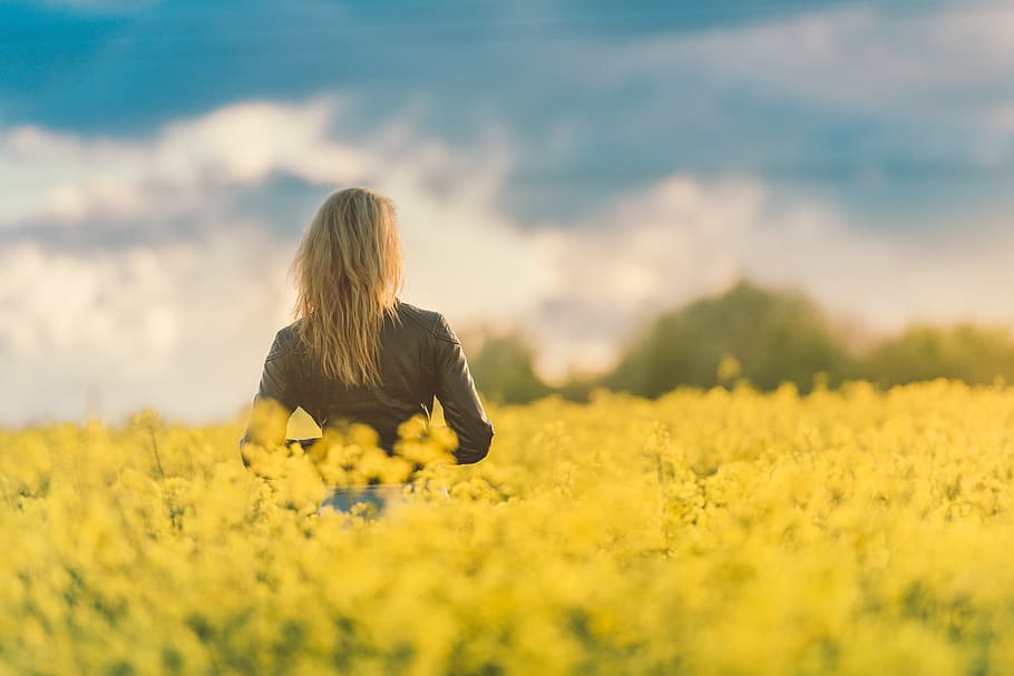 Woman, Yellow, Field, Sunset, people, nature, women, oilseed Rape, one Person, outdoors