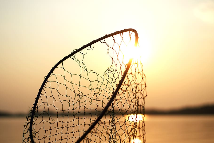 net, fishing, steel, sun, water, sea, nature, bokeh, blur, sunset