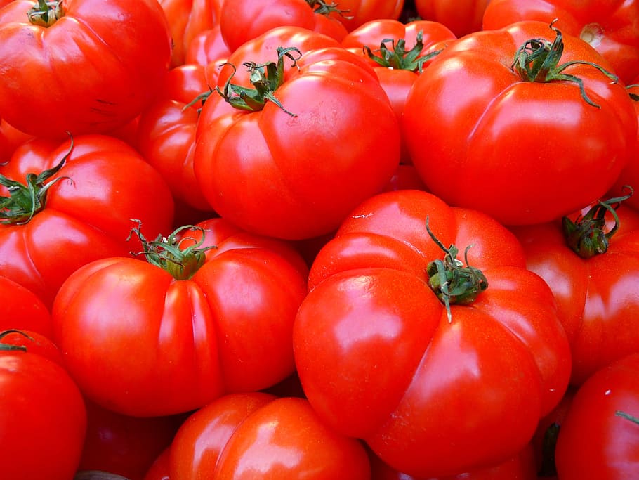 bunch of tomatoes, tomatoes, vegetables, red, food, vegetable, food and drink, healthy eating, freshness, wellbeing