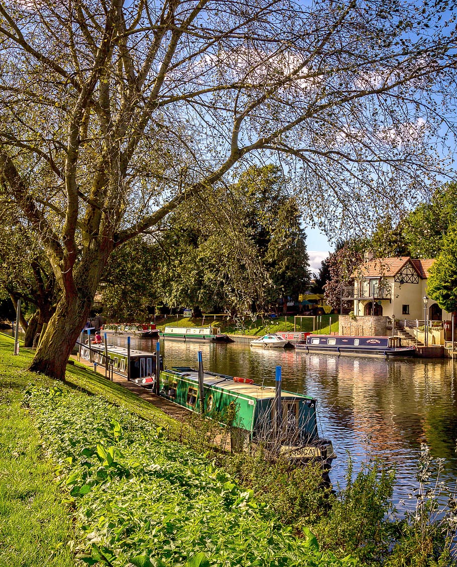 boats, river, trees, tree, water, nature, outdoors, landscape, park, house