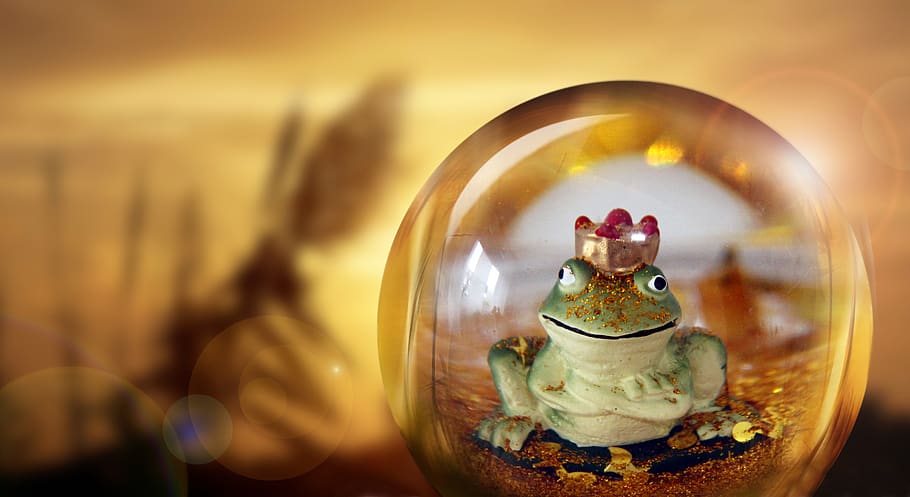 frog prince, frog, fairy tale, fairy tales, glass ball, nature, gold, landscape, sunbeam, crown