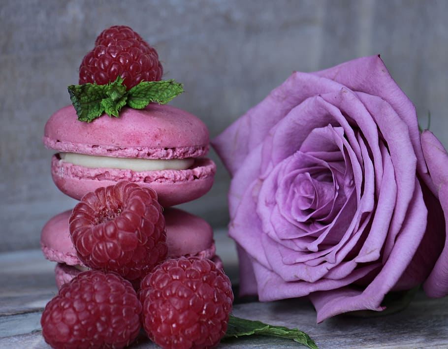 pink, rose, macaroons, macarons, raspberries, mint, purple rose, pastries, french pastries, tender