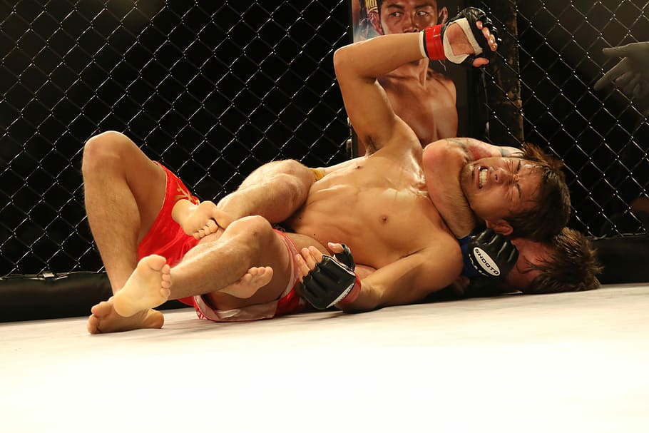 man, holding, person, neck, Mma, Mixed Martial Arts, Japan, japao, cage, tokyo