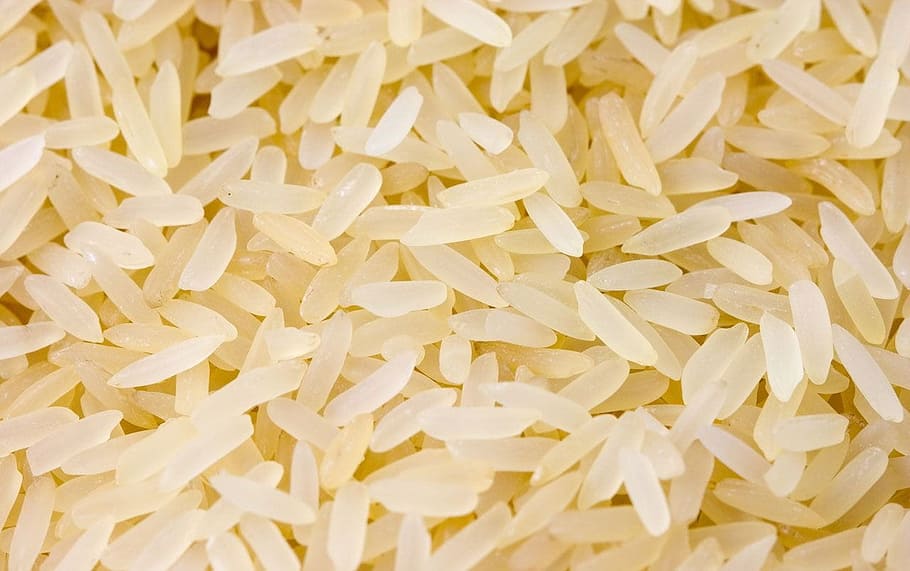 lote de arroz blanco, arroz, blanco, refinado, grano, cereales, alimentos, fondo, crudo, indio