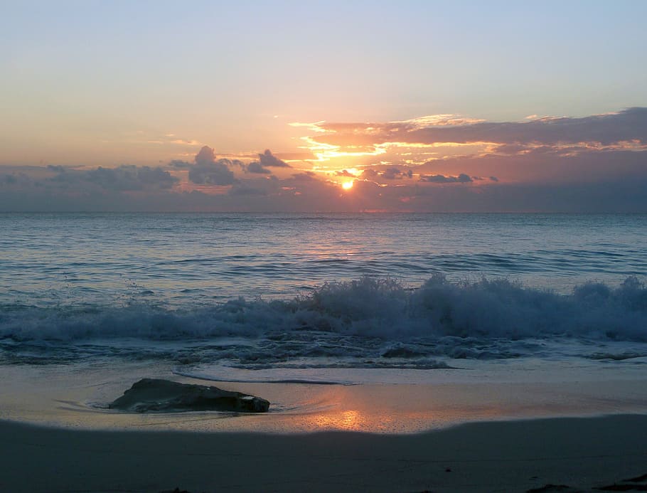 seawave, golden, hour, ocean, waves, sunset, beach, sea, water, tides