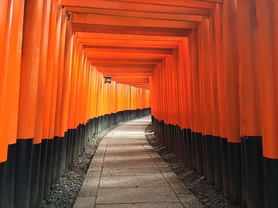 road, path, tunnel, pattern, gravel, torii, fushimi inari, shrine, kyoto, japan