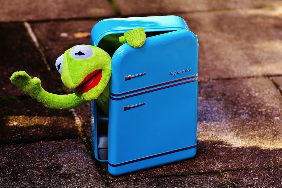 kermit, frog, refrigerator, funny, retro, green, toys, soft toy, stuffed animal, wave