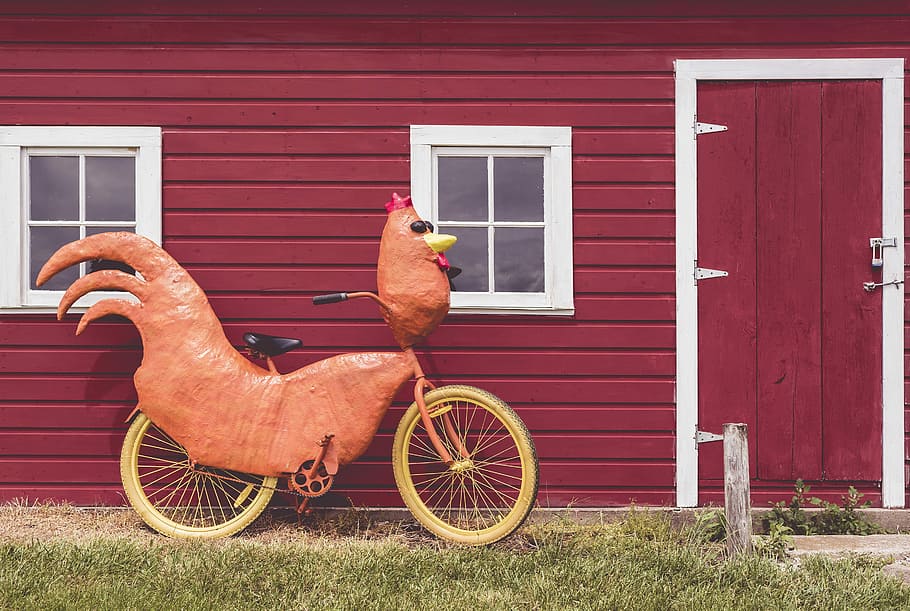 brown, black, rooster style bicycle, black rooster, style, bicycle, objects, whimsical, lazy, art