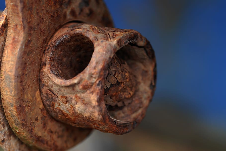 Oxide, Iron, Steel, Rust, one animal, reptile, close-up, ancient, animals in the wild, rusty