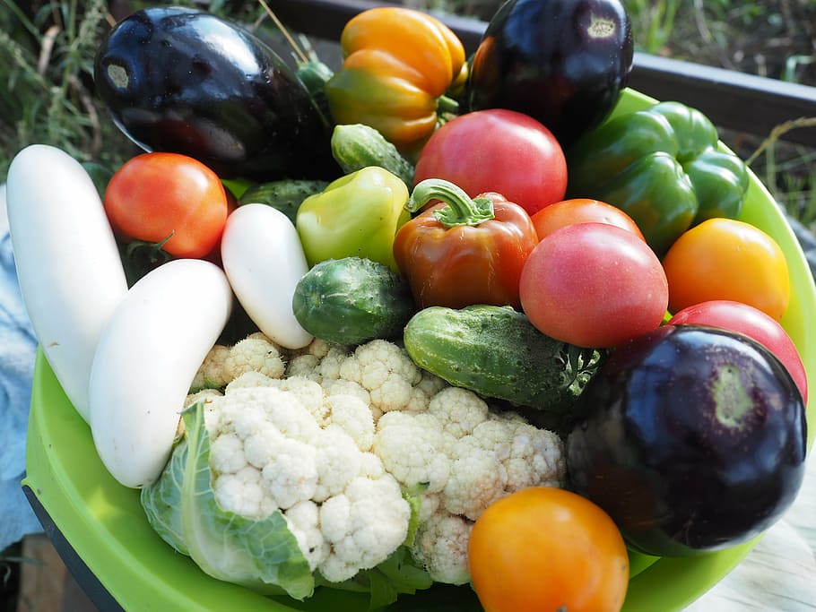 bunch, fruits, bowl, vegetables, summer, vegetarianism, dacha, elitexpo, harvest, plant