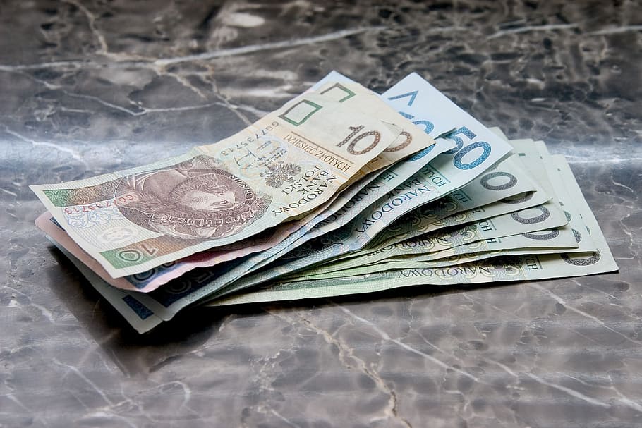 Dinero, billetes en euros, polaco, billetes polacos, pln, moneda, papel moneda, finanzas, riqueza, negocios