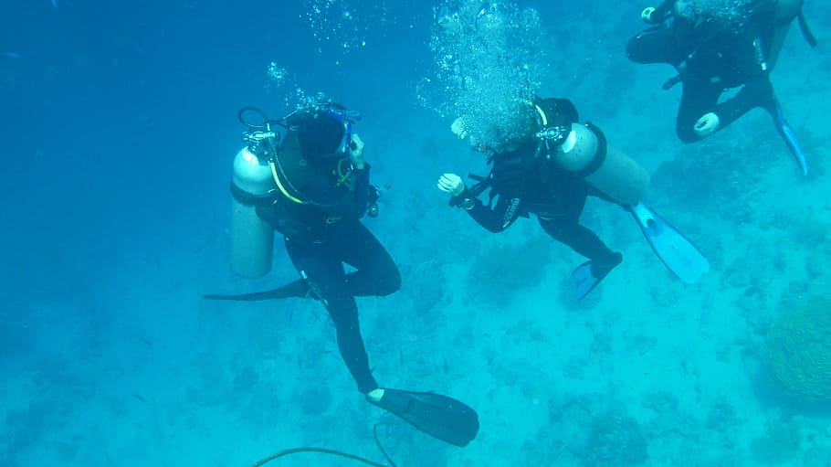 three, divers, swimming, underwater, diving, ocean, water, sea, breathing apparatus, diving bottles