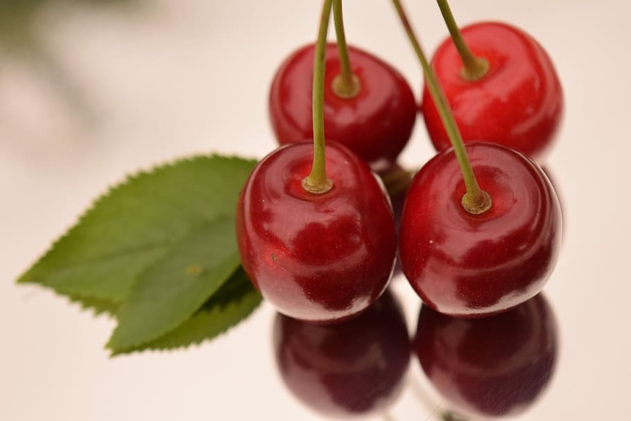 Cherries, Summer, Fruit, Sweet, summer, fruit, red, nature, delicious, close, mirroring