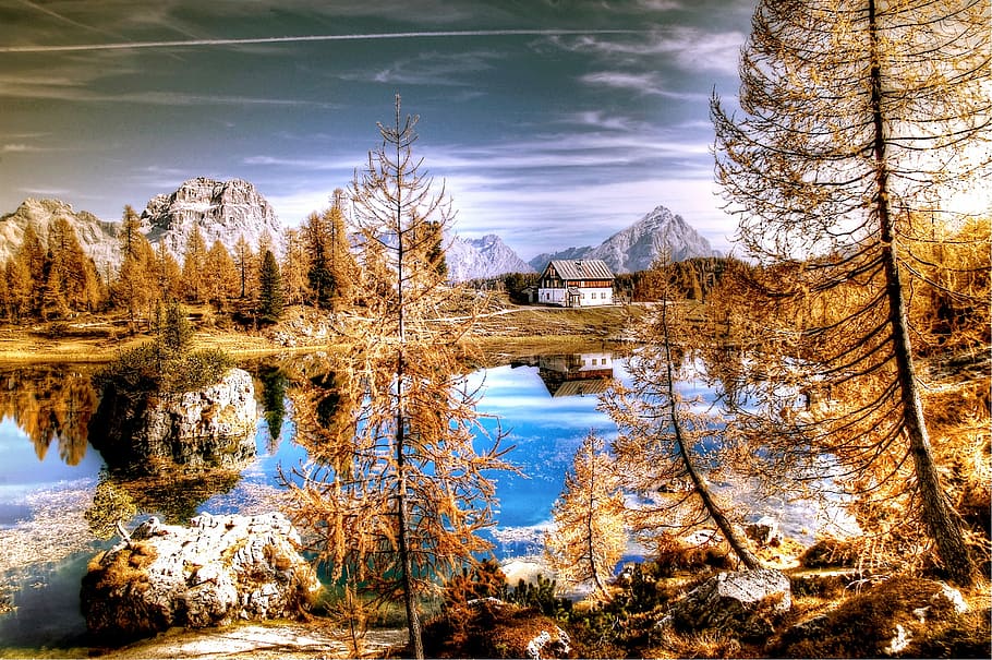 river, trees, mountains, dolomites, italy, alpine, nature, view, landscape, rock